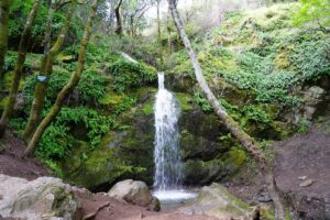 Buck Gulch Waterfall