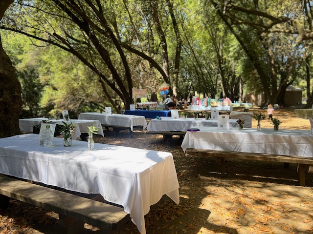 2026 First Annual Picnic